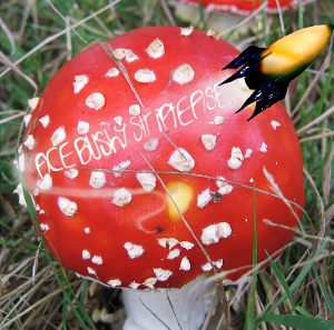 click here to download 'A Little More Suspicion In Our Fairytales Plz'